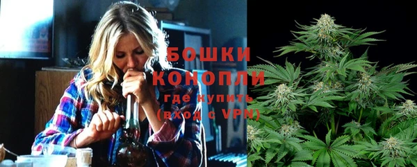 сатива Аркадак