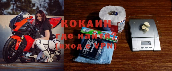 сатива Аркадак