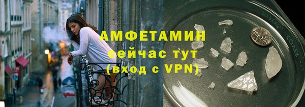 сатива Аркадак