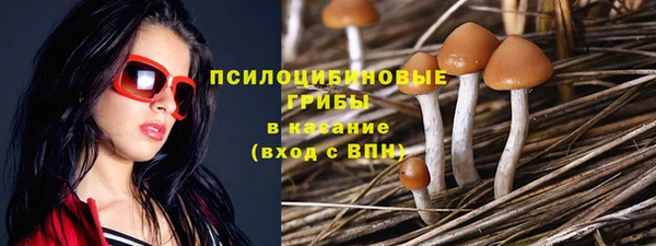 первитин Арсеньев