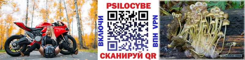 Галлюциногенные грибы MAGIC MUSHROOMS ОМГ ОМГ вход Барабинск наркотики