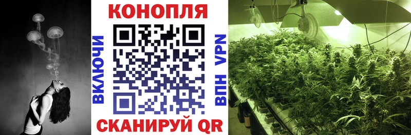ссылка на мегу как зайти  Барабинск  Канабис конопля 